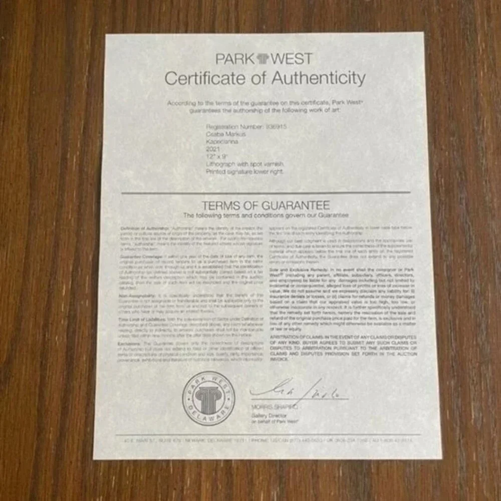 Kapricianna by Csaba Markus art print seriolithograph signed - Picture 3 of 3